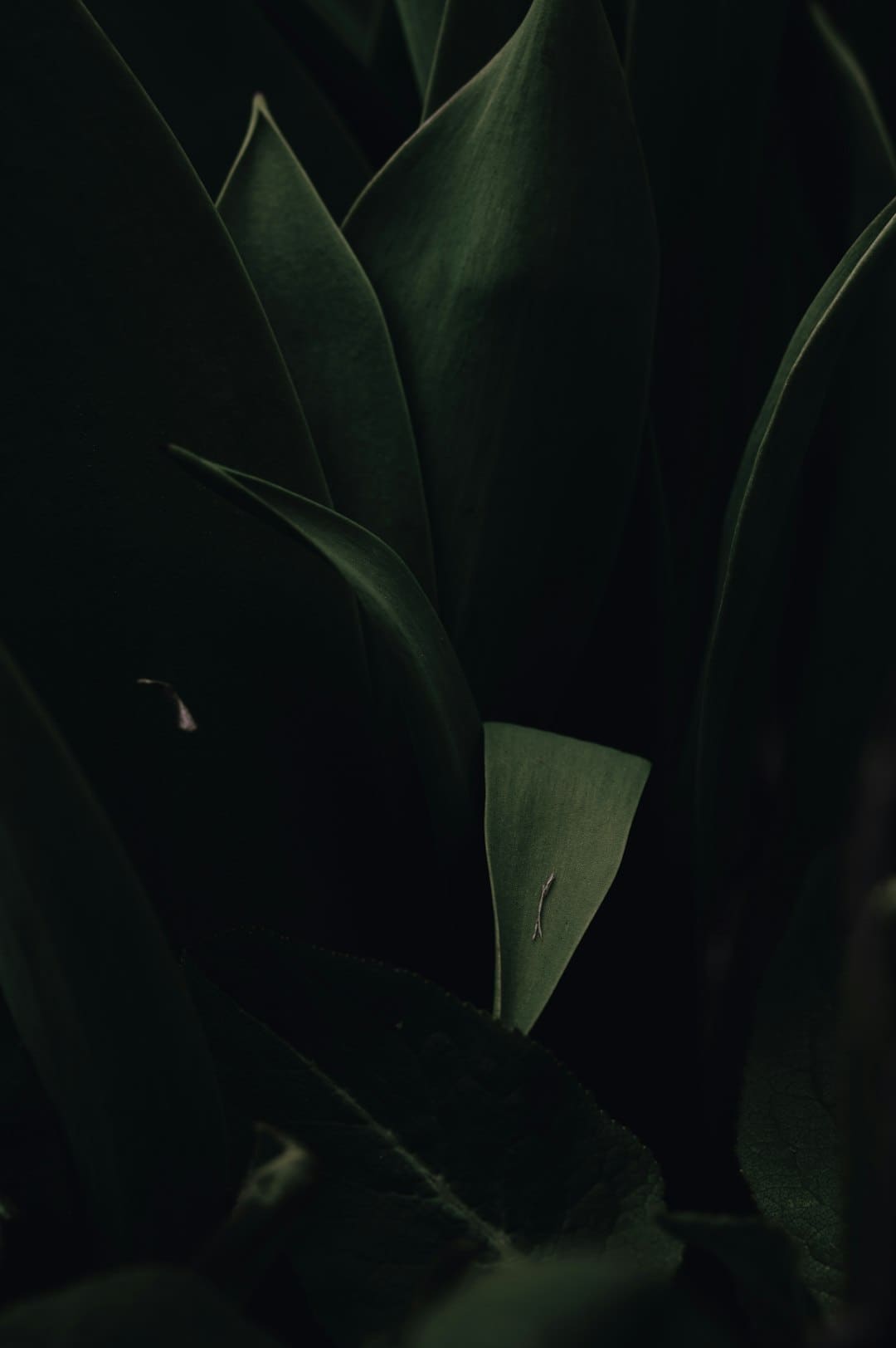 ESG赋能前景 全球首单绿色保函银团项目落地